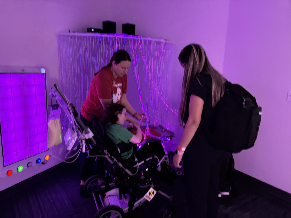 Sophia in 2025